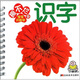 撕不爛版寶寶開(kāi)始學(xué)：識(shí)字