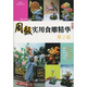 周毅食品雕刻系列：周毅實(shí)用食雕精華（第2版）