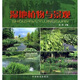 濕地植物與景觀