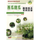 西瓜甜瓜栽培技術(shù)百問百答