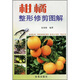 柑橘整形修剪圖解