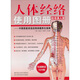 人體經(jīng)絡(luò )使用圖冊（全彩真人版）