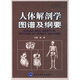 人體解剖學(xué)圖譜及綱要