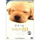 導盲犬小Q（DVD9）