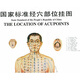 國家標準經(jīng)穴部位掛圖