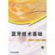 藍牙技術(shù)基礎/普通高等教育規(guī)劃教材