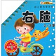 幼兒智力早開發(fā)：右腦（2-3歲）
