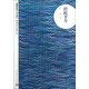 朝內(nèi)166人文文庫·中國當(dāng)代長篇小說：蹉跎歲月