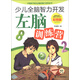 少兒全腦智力開(kāi)發(fā)：左腦訓練營(yíng)（彩圖版）
