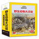 美國國家地理野生動物大遷徙（套裝共4冊）