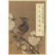 中國古代繪畫(huà)精品集：宋人花鳥(niǎo)冊頁(yè)（1）