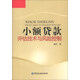 小額貸款評估技術(shù)與風(fēng)險控制