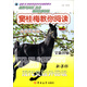 新黑馬閱讀叢書·竇桂梅教你閱讀：現(xiàn)代文課外閱讀（小學4年級 新課標 全新升級 第四次修訂版）