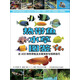 熱帶魚·水草圖鑒：近400種熱帶魚及水草賞析與飼養(yǎng)技巧