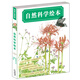 自然科學(xué)繪本系列 鳥（套裝共3冊(cè)）讓孩子愛上自然的科普繪本 蒲蒲蘭繪本