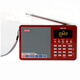 德生（Tecsun） ICR-110數(shù)字點(diǎn)歌插卡廣播錄FMAM收音機(jī)半導(dǎo)體 紅色+插座轉(zhuǎn)換器+8G TF卡