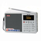 德生（Tecsun） ICR-110數(shù)字點(diǎn)歌插卡廣播錄FMAM收音機(jī)半導(dǎo)體 銀色