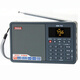 德生（Tecsun） ICR-110數(shù)字點(diǎn)歌插卡廣播錄FMAM收音機(jī)半導(dǎo)體 灰色