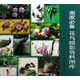 畫家必備：花鳥攝影資料圖庫