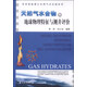 非常規(guī)能源之天然氣水合物系列：天然氣水合物的地球物理特征與測井評價