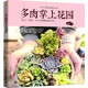 多肉掌上花園 二十四節(jié)氣養(yǎng)多肉，多肉拼盤混載搭配