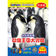 雙語幼兒園系列·寶寶的動物世界·小小科學(xué)家動物王國大冒險（4DVD）（雙語版）