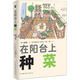 在陽(yáng)臺(tái)上種菜（送有機(jī)種子1袋）