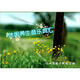 休閑養生音樂(lè )典匯套裝（14CD）（京東專(zhuān)賣(mài)）