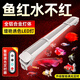 老漁匠增艷魚缸燈led燈雙燈珠防水三基色紅龍增色燈鸚鵡金魚錦鯉發(fā)色燈 113cm智能調(diào)光　防水定時【113-140cm缸