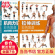 【當當】拉伸訓練彩色圖譜+肌肉力量訓練彩色圖譜+無(wú)器械力量訓練 運動(dòng)拉伸訓練運動(dòng)健身健美訓練書(shū)健身書(shū)籍 肌肉力量+拉伸訓練彩色圖譜【2冊套裝】