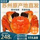 【活蟹】陽澄遇鮮活大閘蟹送禮特大現(xiàn)貨螃蟹公蟹母蟹水產(chǎn)生鮮禮盒 公4.0兩 母3.0兩   4對8只裝 蘇州精品清水大閘蟹