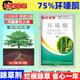 瑞東75%環(huán)嗪酮除樹爛根劑 殺樹王除竹子除雜草爛根除雜草除草劑農(nóng)用藥 75%環(huán)嗪酮*10袋
