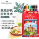輝柏嘉（Faber-castell）彩鉛彩色鉛筆油性彩鉛繪畫(huà)套裝畫(huà)畫(huà)工具學(xué)生繪畫(huà) 36色城堡系列紙盒裝 速寫(xiě) 馬克筆繪畫(huà)