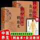 正版速發(fā)  中國民間-刺血術(shù)  中國民間醫學(xué)叢書(shū)  針灸按摩中醫書(shū)籍 中醫療法 民間醫學(xué)書(shū)籍