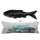 歡之婧 千島湖活魚(yú) 胖頭魚(yú)鳙魚(yú)花鰱大頭魚(yú)包頭魚(yú)鮮活水產(chǎn)大魚(yú)頭 5斤一條 江浙滬專(zhuān)拍【包活到貨】