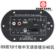 適用大功率車載低音炮功放板藍牙音箱主板12V24V220V帶話筒擴音功 09款10寸中文440W配線+遙控