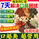 草本三清茶調理肝火口氣重去口臭口苦茶嘴巴臭調節腸胃喝的養生茶 一盒裝【免費試用】