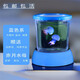 水母活物發(fā)光杯好養(yǎng)迷你無毒禮物觀賞小型小寵物桌面寶寶赤月海月 藍色發(fā)光套餐+2只赤月水母