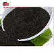 新兒童枕頭枕芯蠶屎蠶糞嬰兒粑粑1齡蠶砂散裝蠶沙 1齡蠶沙3斤裝
