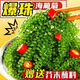 海葡萄泡發(fā)即食兒童新鮮鹽漬裙帶菜綠色魚子醬海藻涼拌壽司食材 新鮮海葡萄【100g*5】送芥末醬油