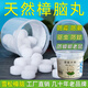 雪松天然純樟腦丸無(wú)毒衣柜防霉防蟲(chóng)驅蟲(chóng)防蟑螂老鼠芳香去味衛生球 天然樟腦丸罐裝70克32粒