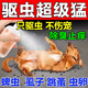 草之萃狗狗洗澡沐浴露寵物驅蟲(chóng)狗狗沐浴露清潔殺菌除臭洗澡殺螨驅蟲(chóng)止癢 驅蟲(chóng)除臭沐浴露【1瓶裝】