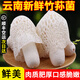 云南竹蓀菌新鮮竹蓀花竹笙紅托竹蓀肉厚【順豐空運(yùn)】 新鮮竹蓀 順豐空運(yùn)次日達(dá) 500g