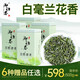 御恒春日照綠茶2025新茶春茶頭胚嫩芽特級蘭花香炒青清香型茶葉 500g 送品嘗包+贈品6選一
