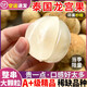 星云湖【順豐空運(yùn)現(xiàn)貨】泰國龍宮果新鮮水果稀有愛情果椰色果龍貢果生鮮 1000g【A+大果精選裝丨2-3串】