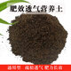金邊吊蘭專用土吊蘭土盆栽營(yíng)養(yǎng)土通用種花養(yǎng)花泥土壤種植土有機(jī)肥 29斤通用營(yíng)養(yǎng)土