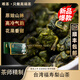 唯茶正宗手工高山茶葉福壽梨山茶特級高冷茶手工茶菁茶禮盒裝 春璽 禮盒裝