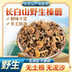 天源吉業(yè) 長(cháng)白山野生榛蘑菇無(wú)根去根無(wú)沙 東北特產(chǎn)級小雞燉蘑菇當季干貨 【野生榛蘑】?jì)糁?00g