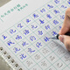 行書字帖成人控筆訓(xùn)練硬筆凹槽速成臨摹練字帖練字本基礎(chǔ)教程常用漢字反復(fù)使用 【凹槽】行書練字全套5本裝+30筆芯