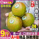 順豐大果 山西隰縣玉露香梨10斤梨子新鮮水果當(dāng)季整箱秋月包郵梨5 4500g A+級【特等大果】超甜爆汁 現(xiàn)摘現(xiàn)發(fā)